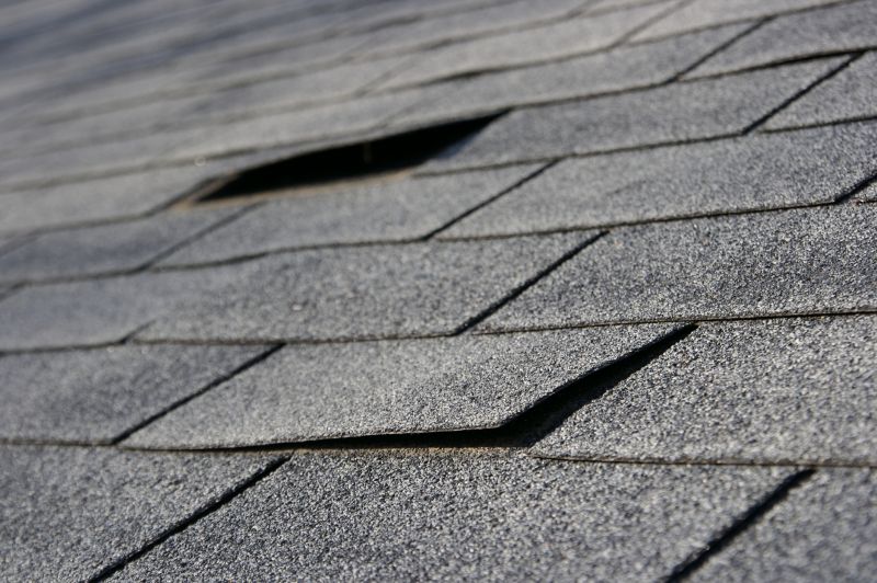 Asphalt Roof Repair