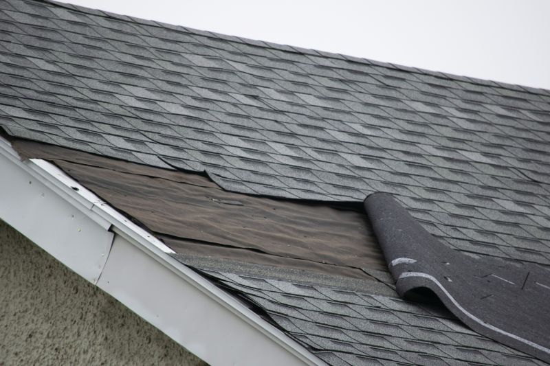 Shingle sealing and patching